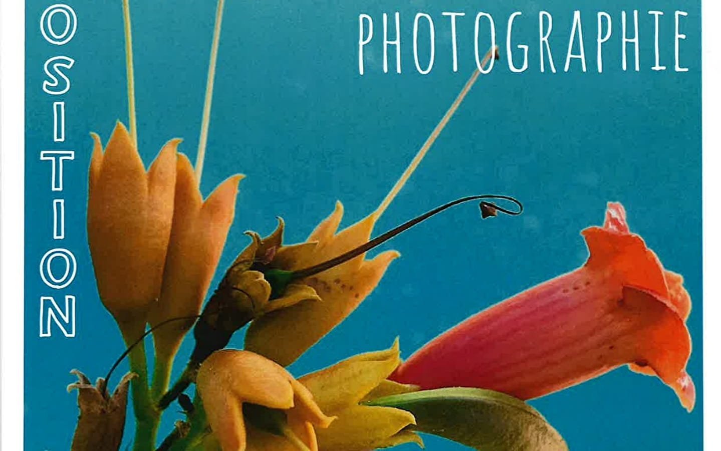 Caveau des artistes : Exposition de photographie
