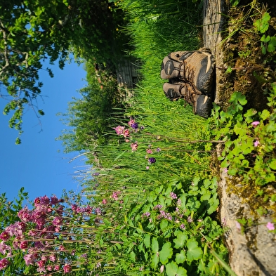 Découvrir le Coeur du Jura autrement