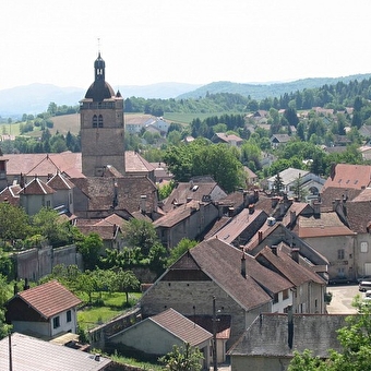 Tour du Mont Orgier - 1V - ORGELET