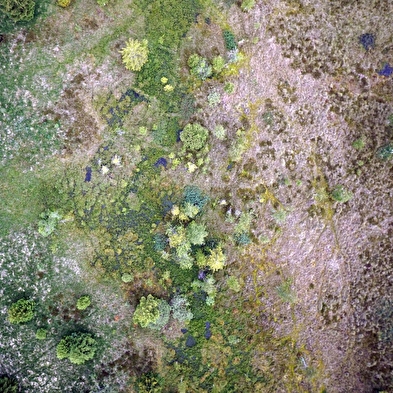 40 ans de la Réserve Naturelle Régionale des Tourbières de Frasne