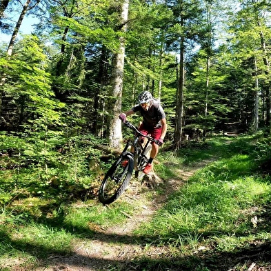 Piste VTT Enduro 5 bleu - La Pierre à l'ours - Espace FFC Ain Forestière
