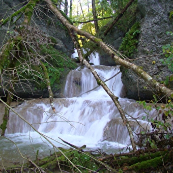 Waroly - ORGEANS-BLANCHEFONTAINE