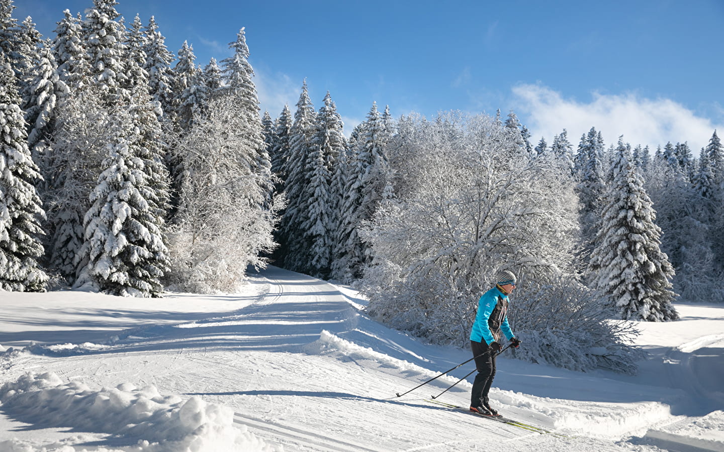 Montfalcon - Piste noire de ski nordique