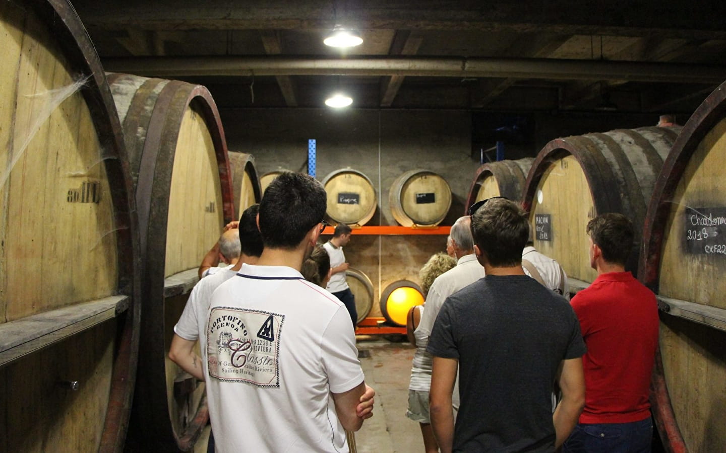 Visites caves & Maison Pasteur