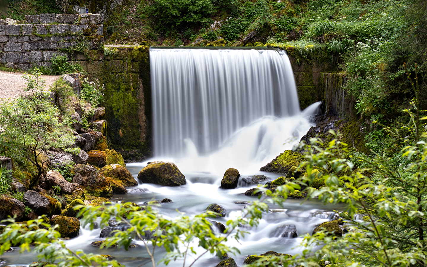 Source du Doubs
