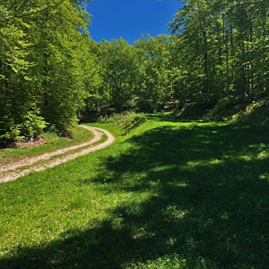 Grandes Traversées du Jura (GTJ) : Itinéraire VTT de Mandeure à Culoz via La Praille sur le Plateau d'Hauteville