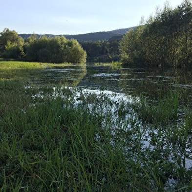 Rivière et lac de l'Oignin