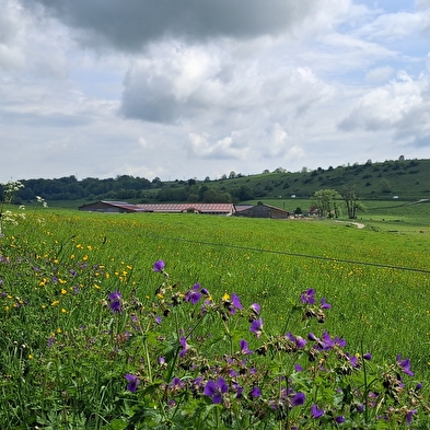 La Côte du Fol - n°106
