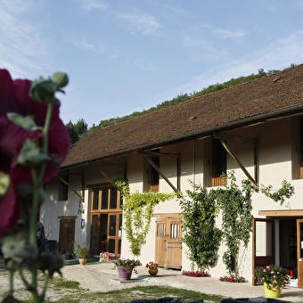 Au millieu des fruits - LHUIS