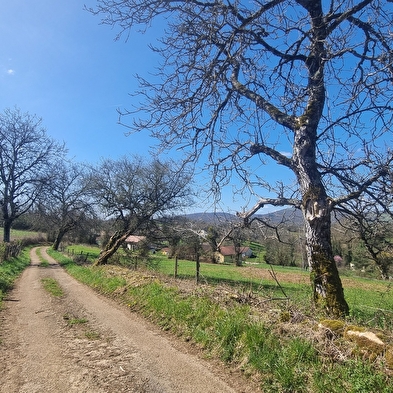 Randonnée - Bohas et la Vallée du Suran
