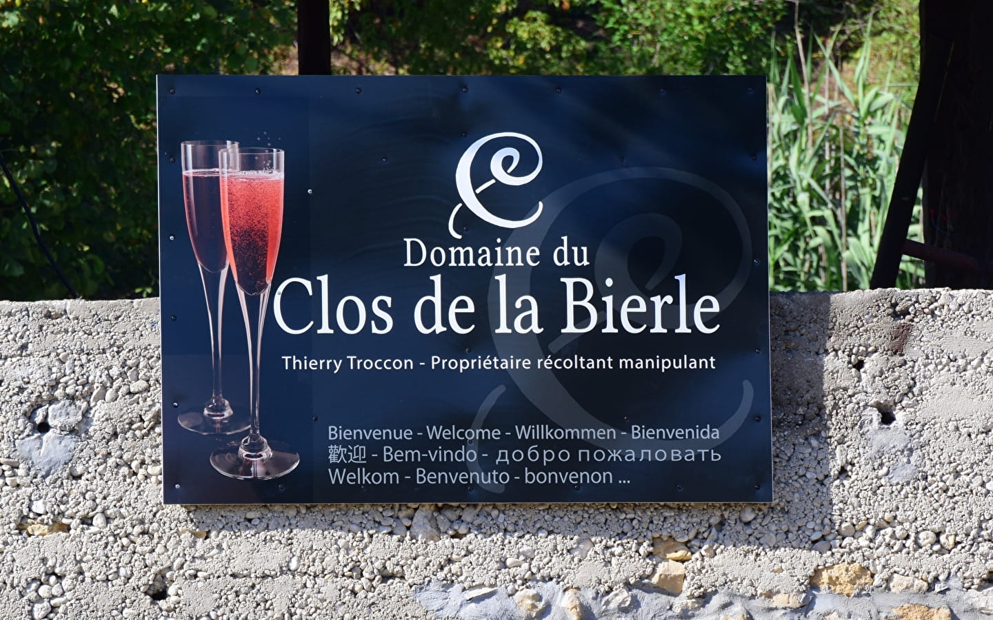 Domaine du Clos de la Bierle