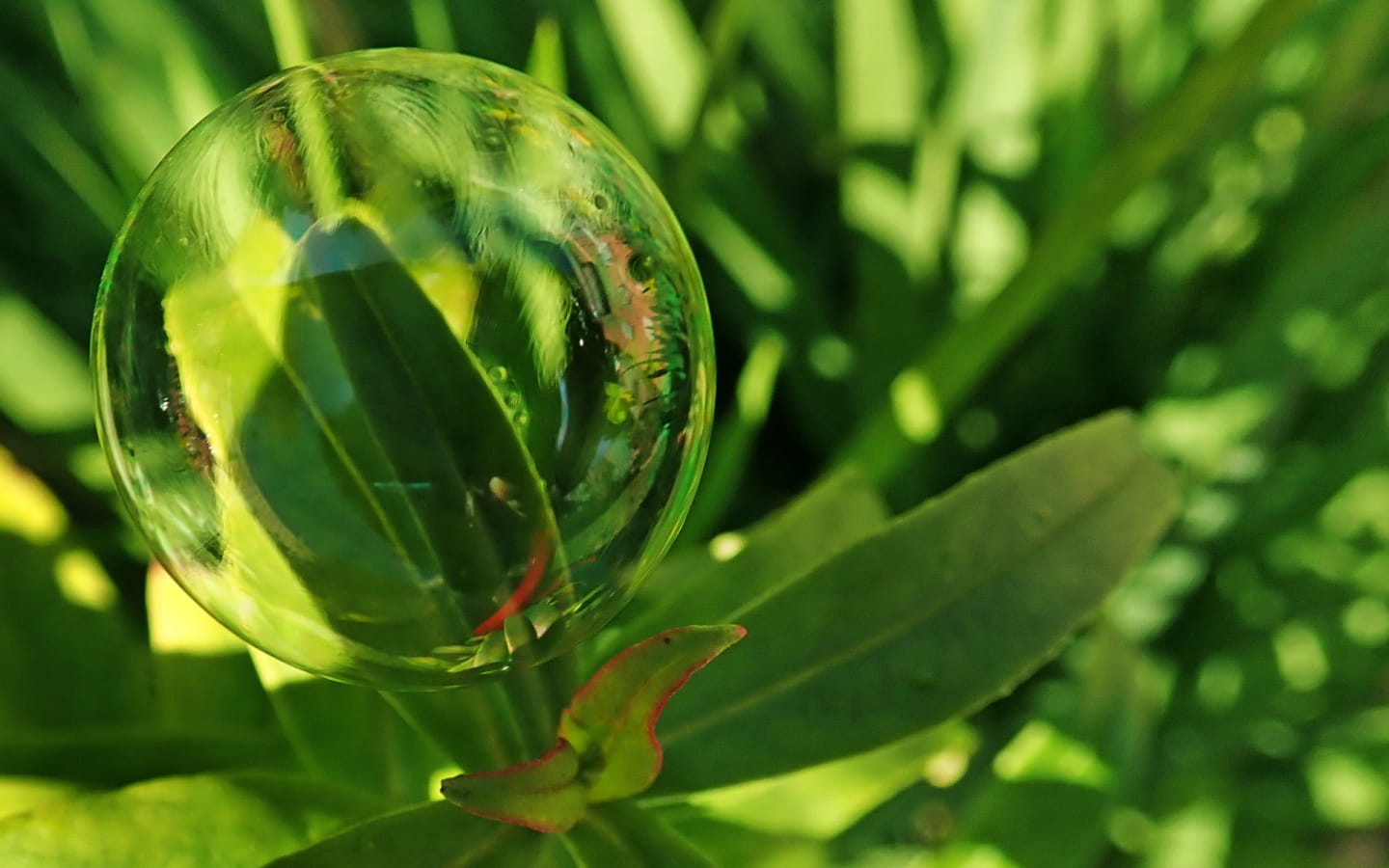 Atelier nature pour les enfants 'Mon jardin miniature dans une bulle de verre'.