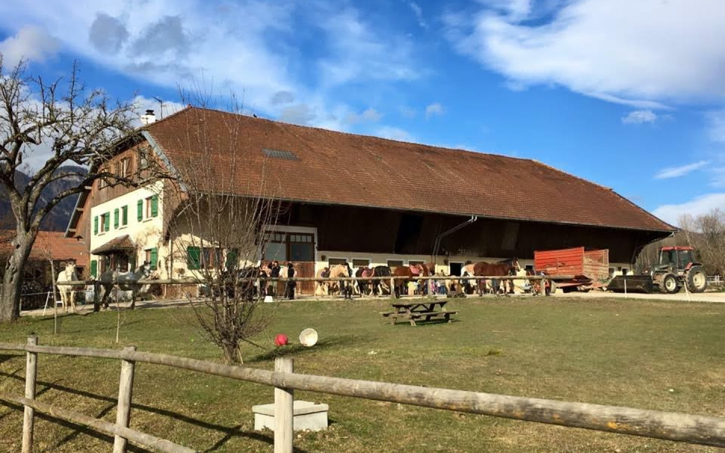 Sports équestres Belle Ferme