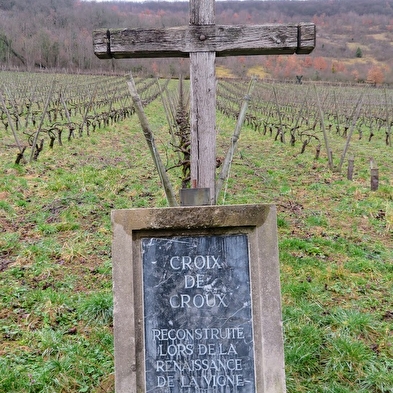 Vignes de Croux