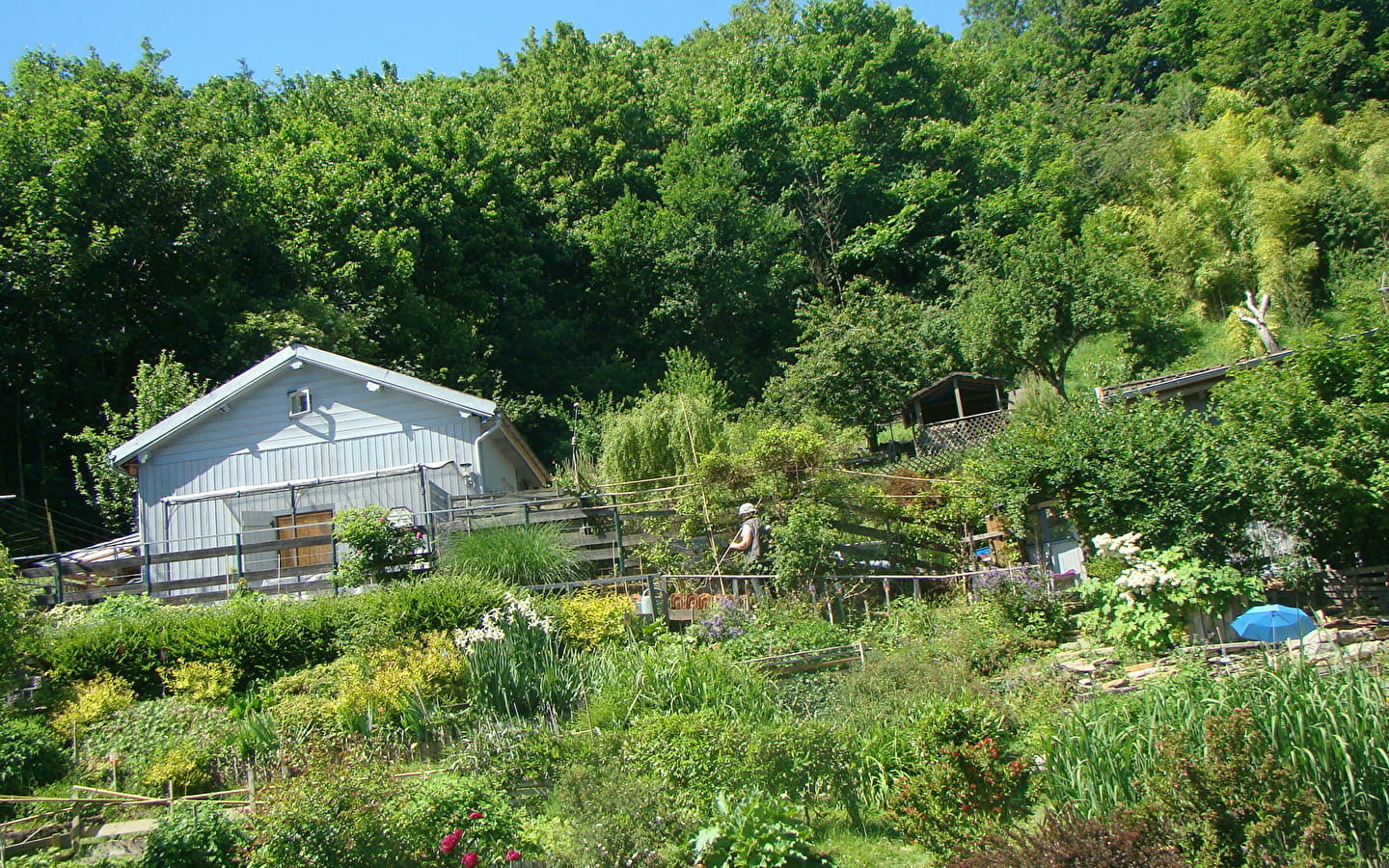 Le Gîte du P'tit Bracon