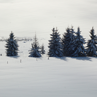 Site Nordique de Apremont - APREMONT