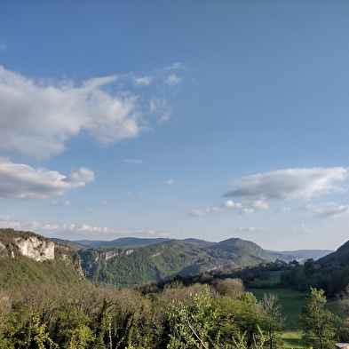 Bar associatif - Le jardin café