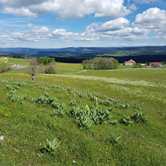 Crêt Monniot - ARC-SOUS-CICON