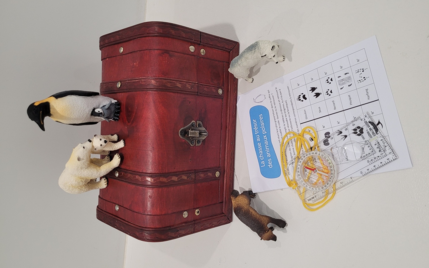 Chasse au trésor des animaux polaires