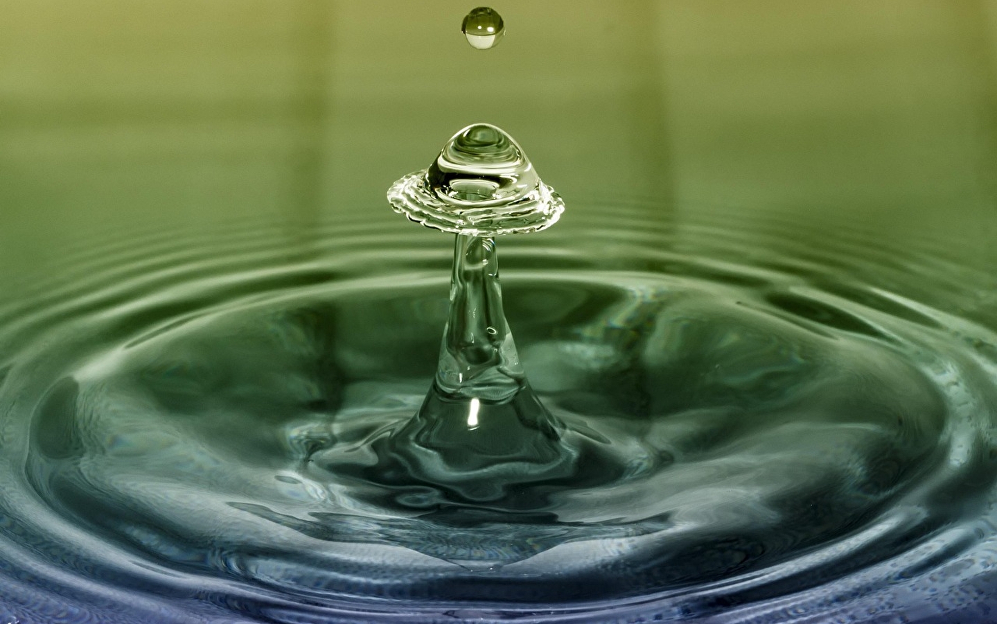 Atelier Famille : Jeux d'eau, Pour les 4-7 ans !