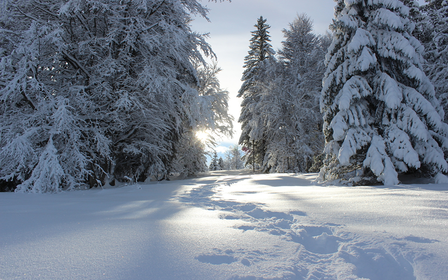 Sentier raquettes de l'Écureuil