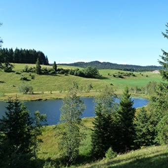 Tour du Val de Mouthe - MOUTHE