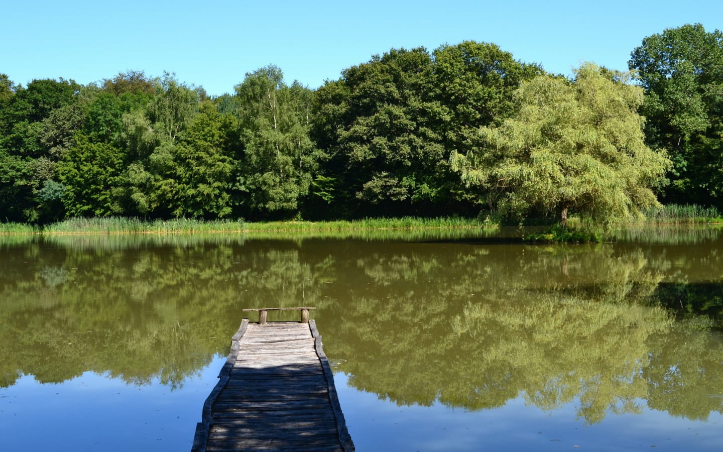 Le sentier des étangs de la Bresse Jurassienne