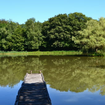 Le sentier des étangs de la Bresse Jurassienne - LES DEUX-FAYS