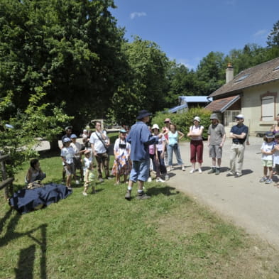 La Forêt de Chailluz