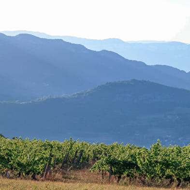 Les Mangeux d'Pierre