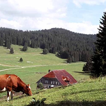 Prés-bois des Bâties - MOUTHE