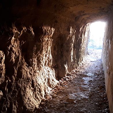 Sentier 'entre ruines et vignes' : de Montagnieu à Briord