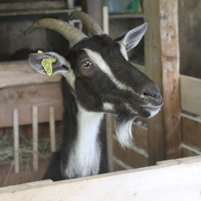 Ferme de La Tuilerie