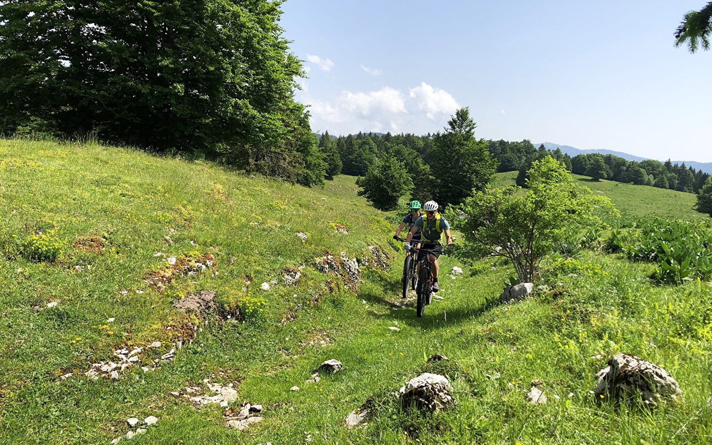 Tour des Arcets - 117R