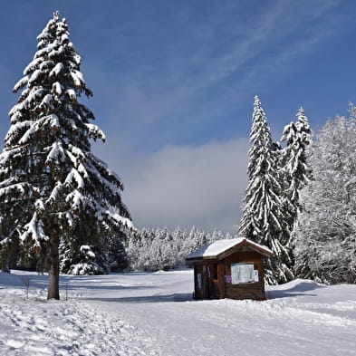 Piste bleue de ski de fond du Plateau de Retord : La Cuaz