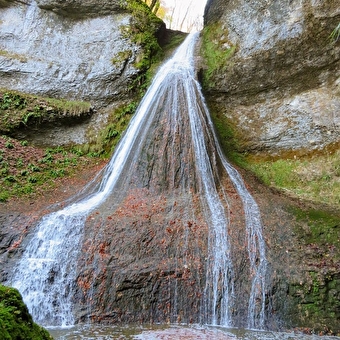 Saut de Bonneille - ORNANS