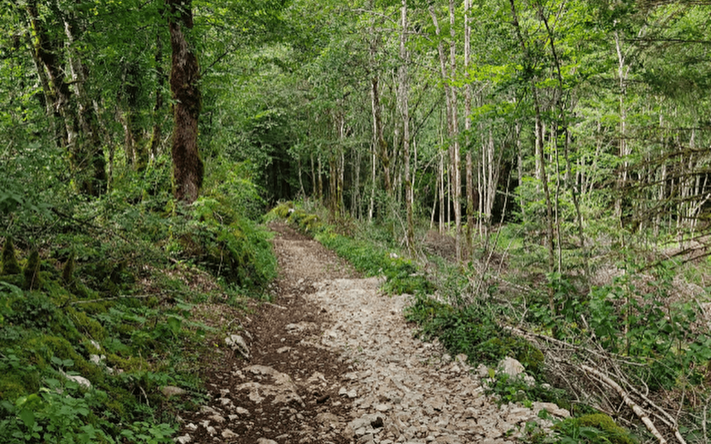 Autour du Désert - 106B