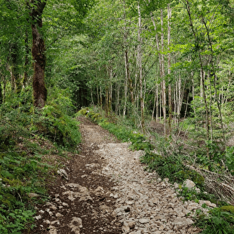 Autour du Désert - 106B - MEUSSIA
