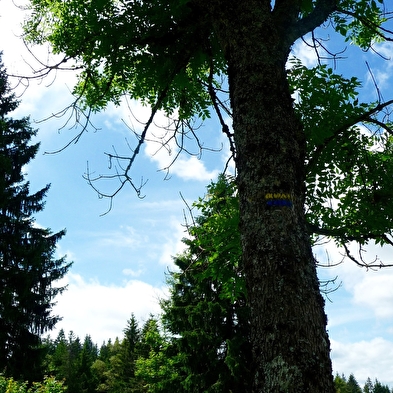 Sentier Montagnard du Grand Taureau