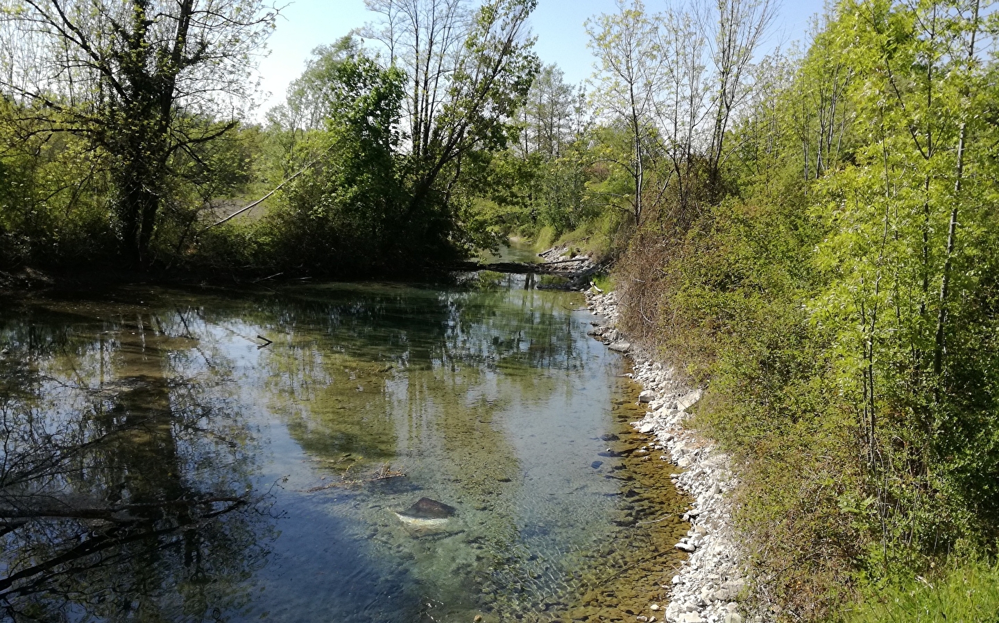 Sentier des lônes et îles du Haut-Rhône