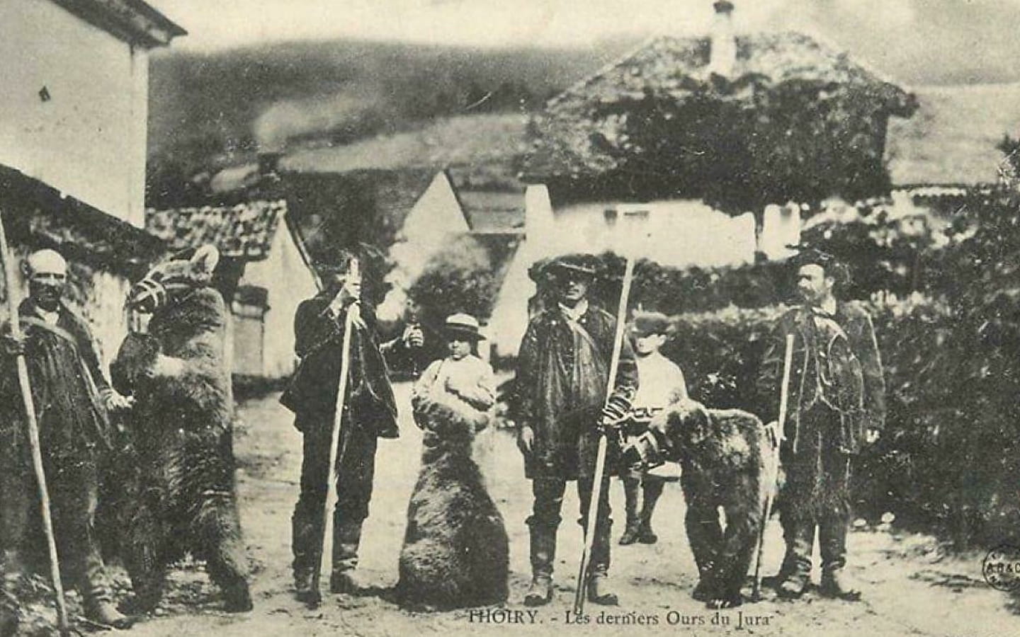Les Gîtes de l'Orée du Bois - L’ours