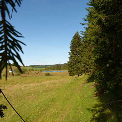 Sentier des vies