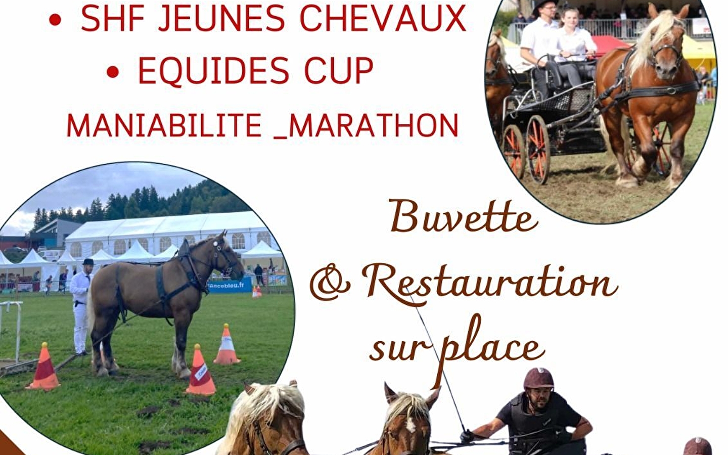 Concours d'attelage