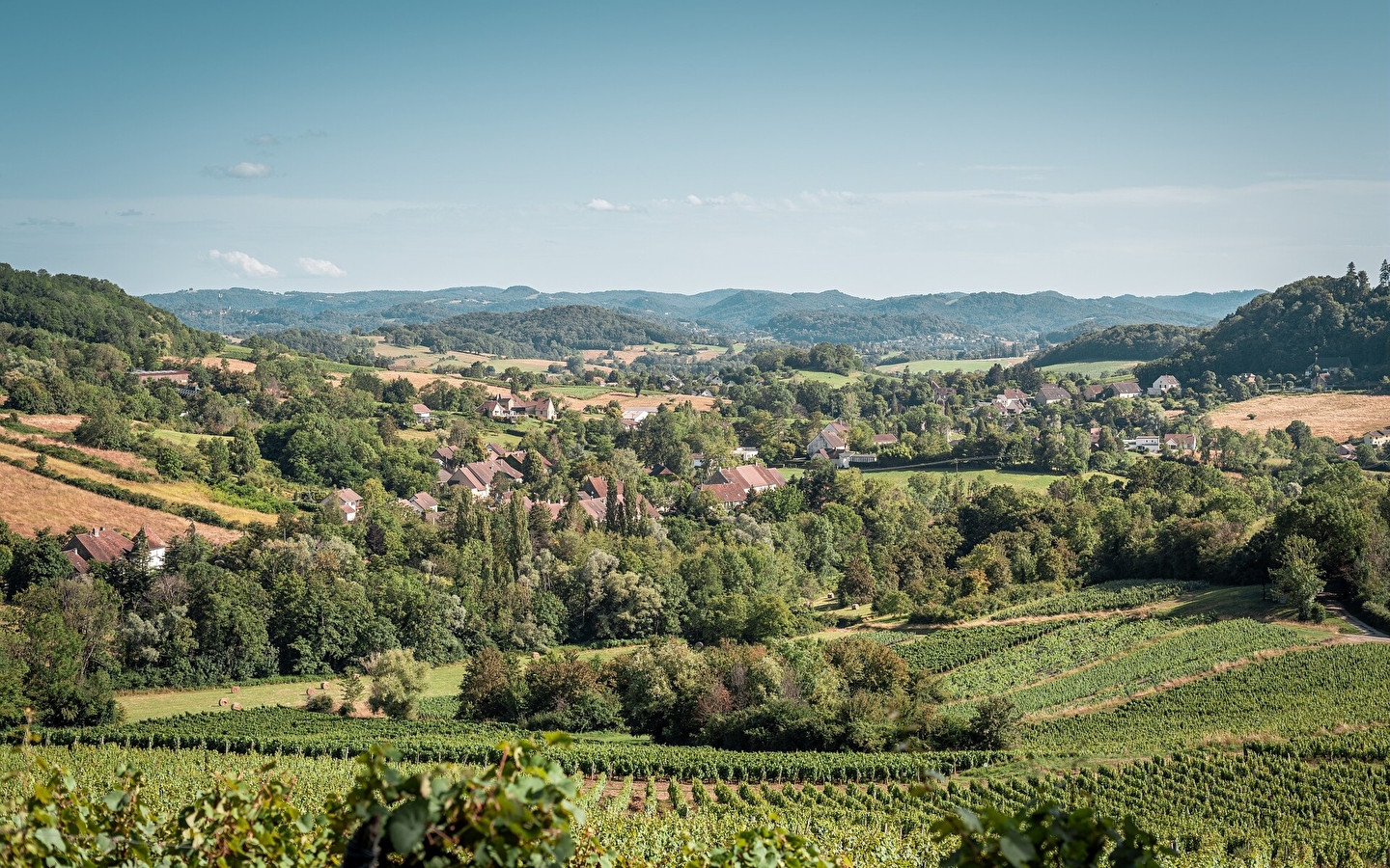 Entre Seille et Vignoble