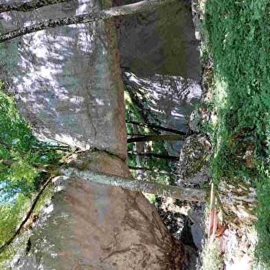 Grotte du Bisontin