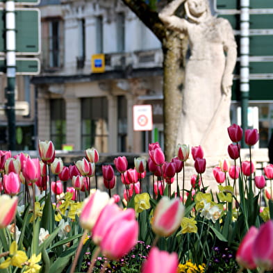 Square Joubert
