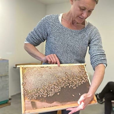 Instants découverte - Vie de l'Abeille, travail de l'apiculteur
