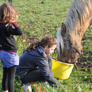 En famille à la campagne à la découverte des animaux