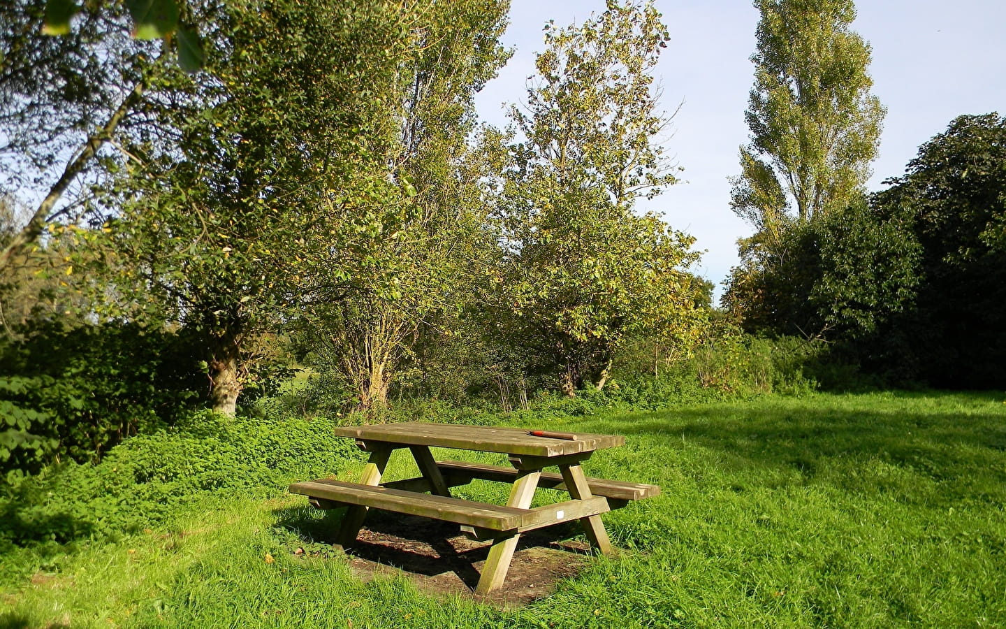 Aire de pique-nique du Grand Bois à Amancey