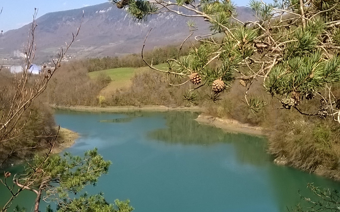 Les berges du Rhône